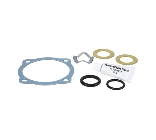 019001050 — Комплект уплотнений (seal kit complete), DN80–DN100