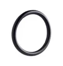 45900405-002B Уплотнительное кольцо O-Ring, диаметр 21,9 мм